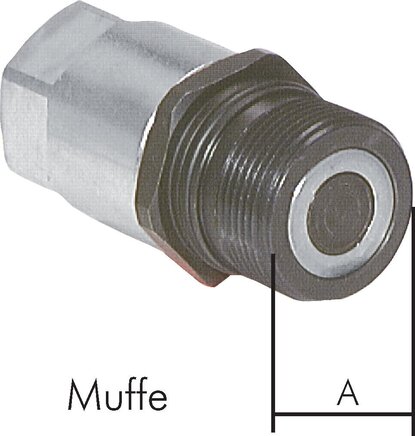 FFMS38