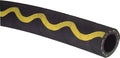 GOLDSCHLANGE38