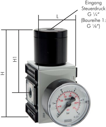 RF10F