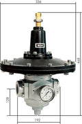 RPM20-1000